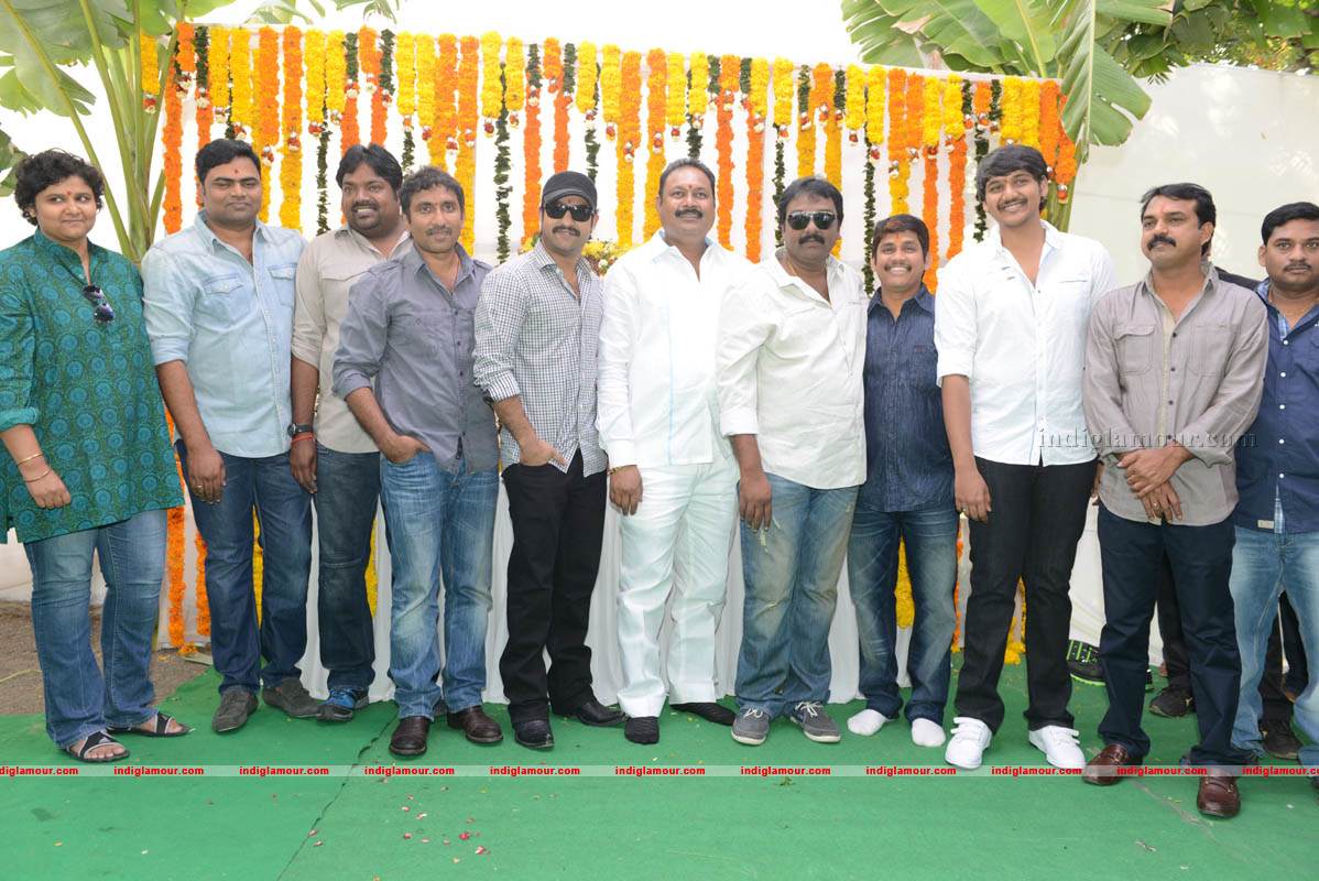 Jr NTR Production No 3 New Movie Launch Event hd photo