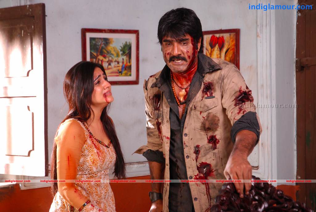 Shatruvu Movie hd photo
