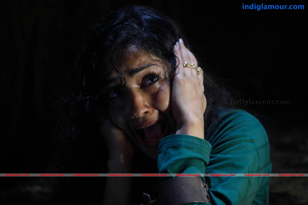 Aravind 2 Movie hd photo