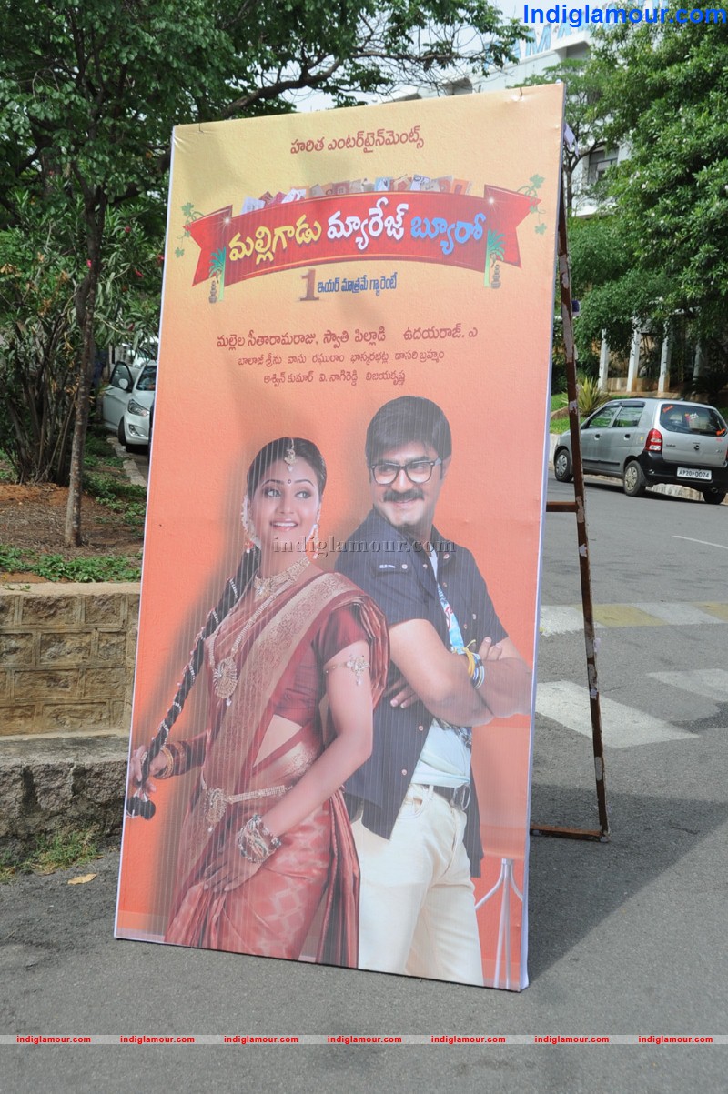 Malligadi Marriage Movie hd photo