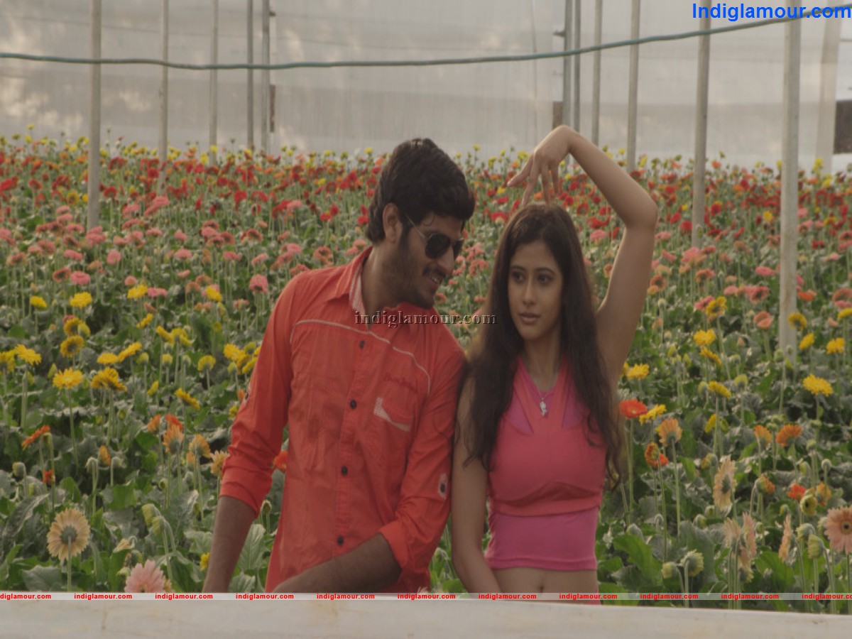 Love Life Movie hd photo