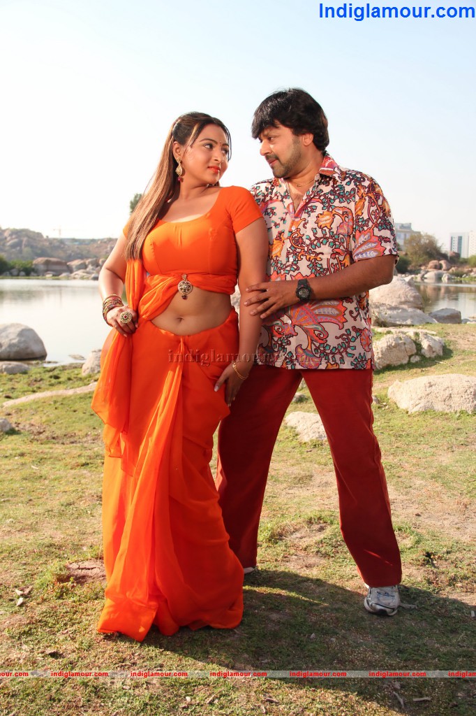 Barishar Shankar Narayan Movie hd photo