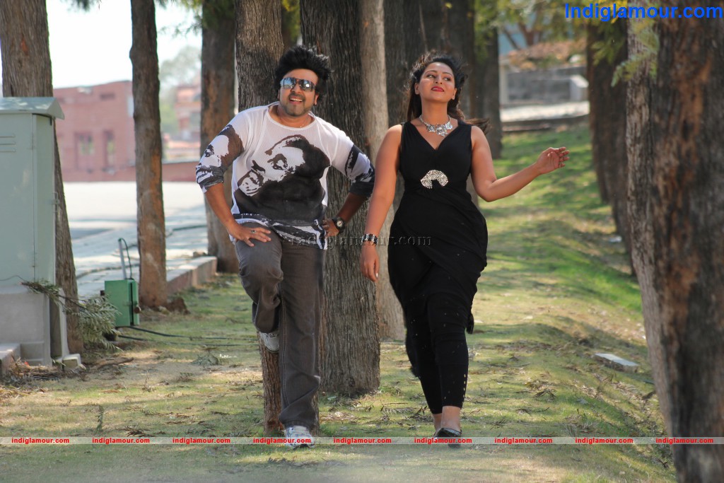 Barishar Shankar Narayan Movie hd photo