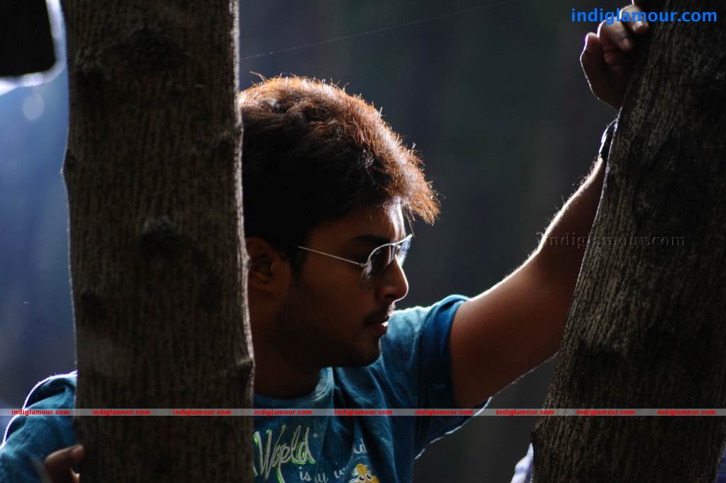 Telugabbai Movie hd photo
