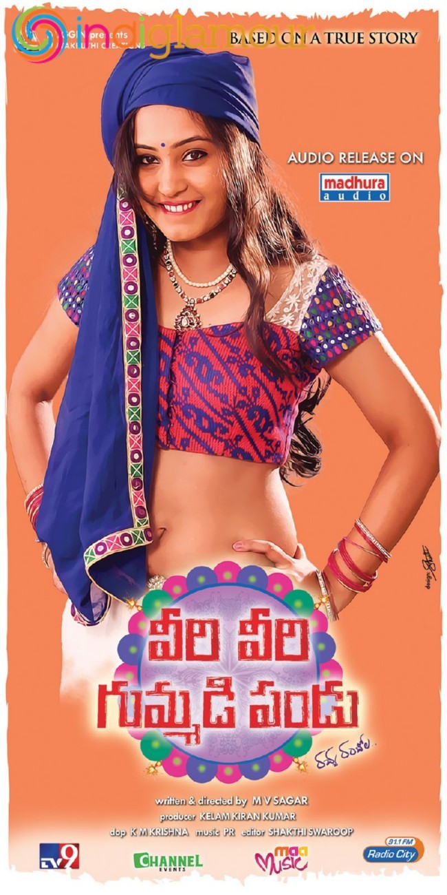 Veeri Veeri Gummadi Pandu Posters Movie hd photo