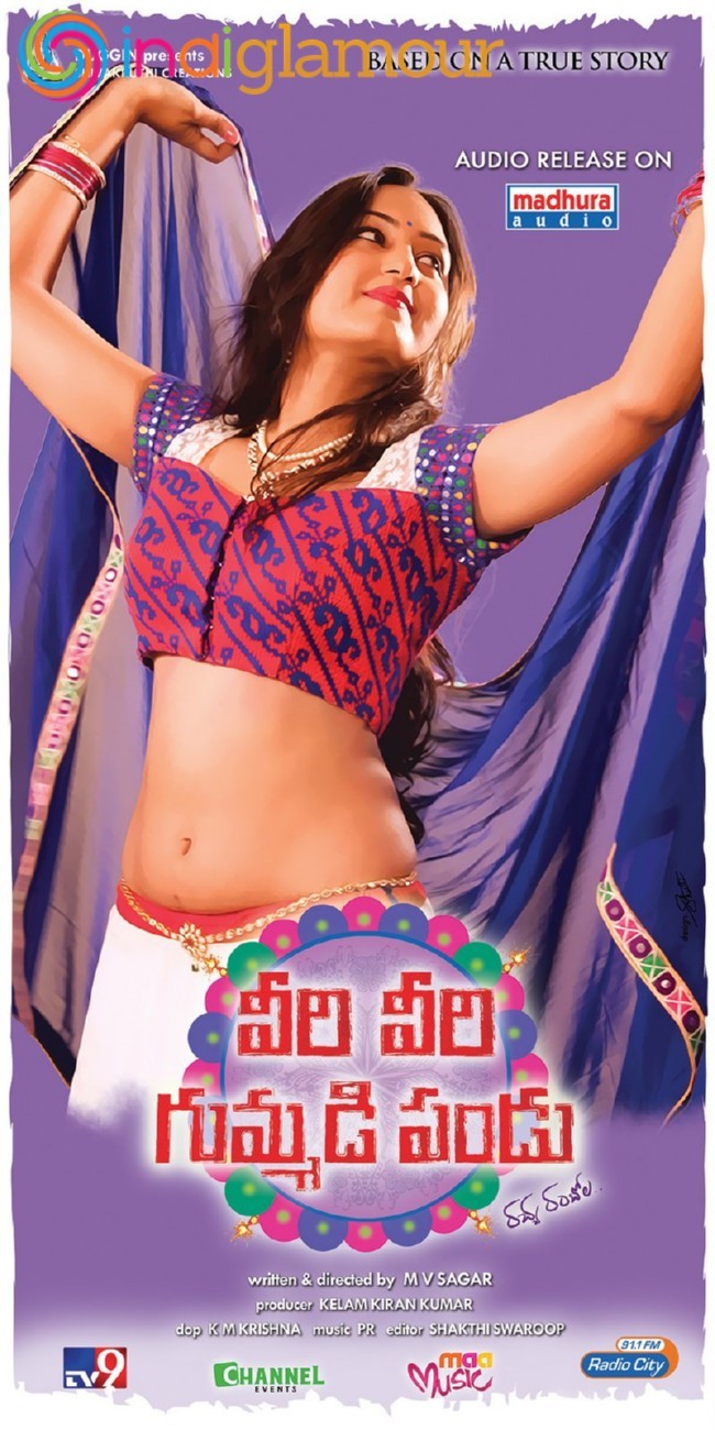 Veeri Veeri Gummadi Pandu Posters Movie hd photo