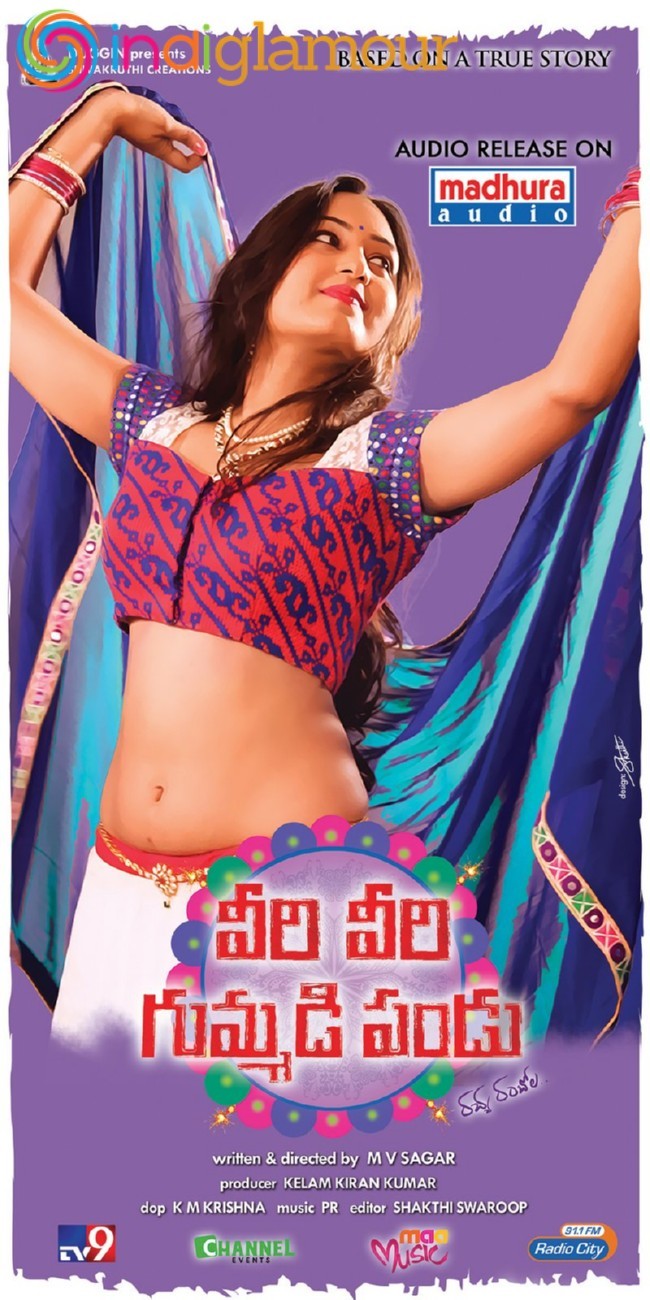 Veeri Veeri Gummadi Pandu Posters Movie hd photo
