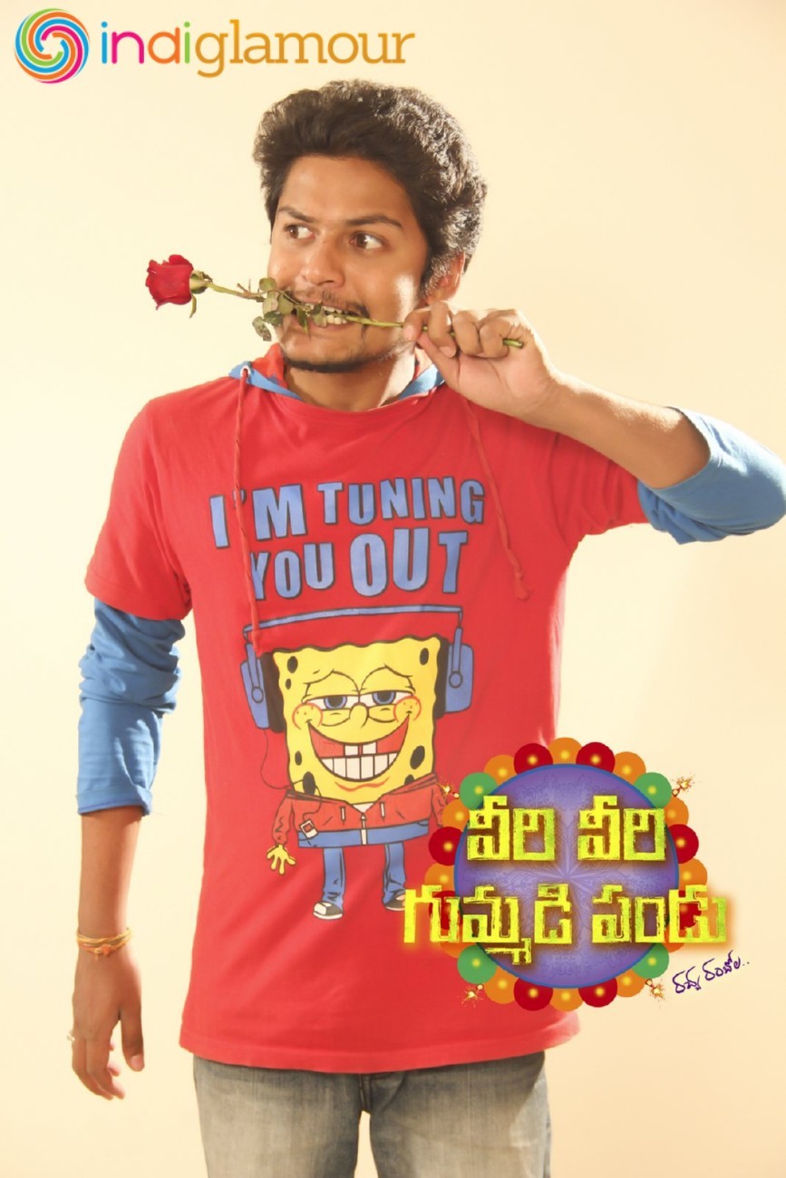 Veeri Veeri Gummadi Pandu Posters Movie hd photo