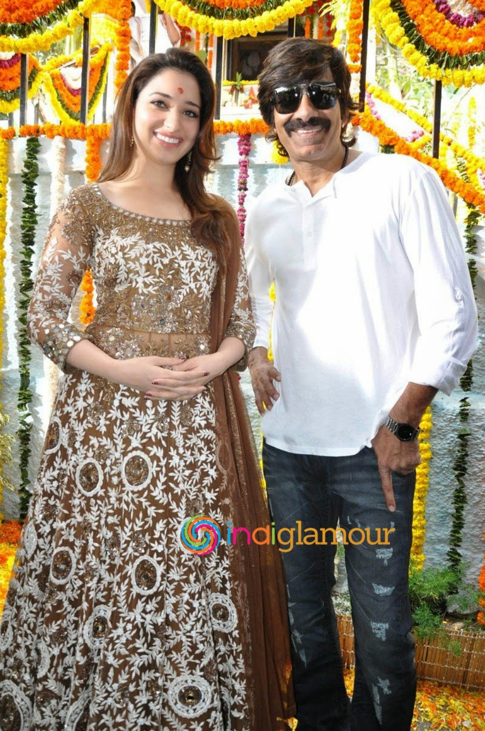 Bengal Tiger Movie hd photo