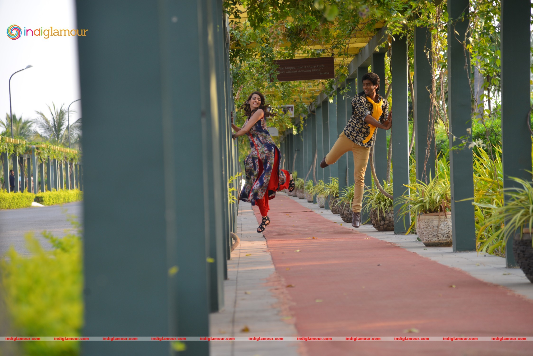 Chal Chal Gurram Movie hd photo