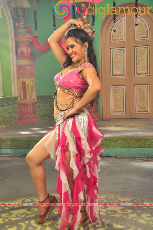 Panileni Puliraju Movie New Photos Movie hd photo