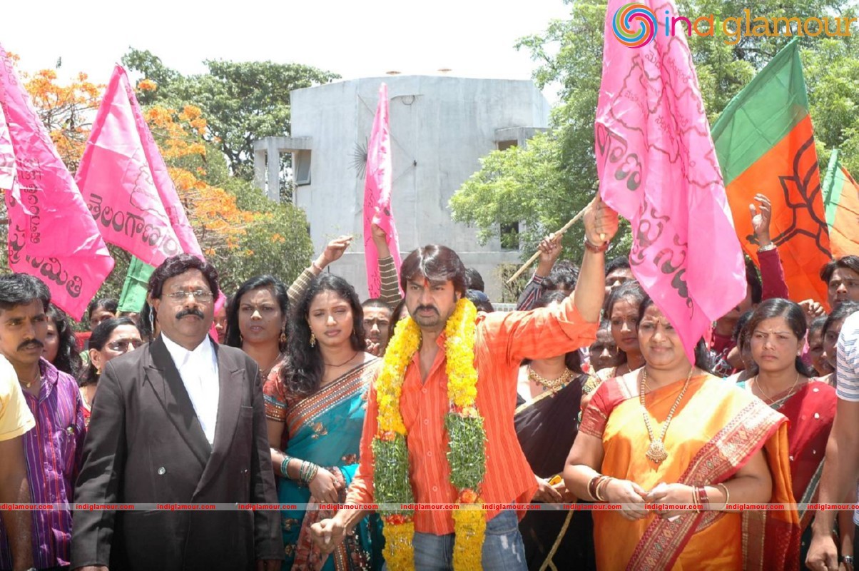 Bangaru Telangana Press Stills Movie hd photo