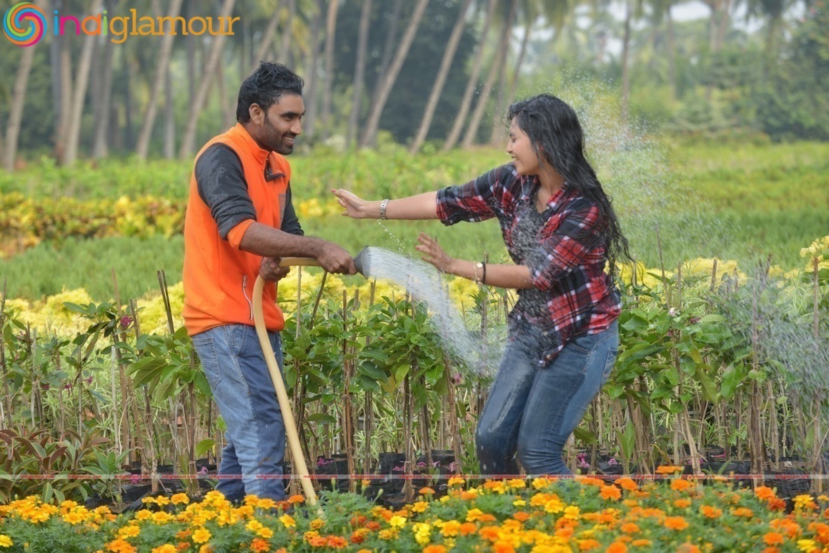 Romance Movie hd photo